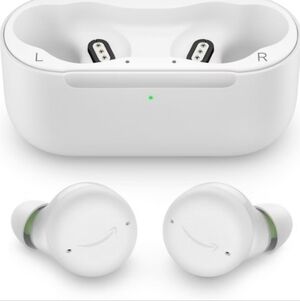 Amazon Echo Buds_ Wireless Earbuds